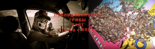 а пвп мука Аркадак