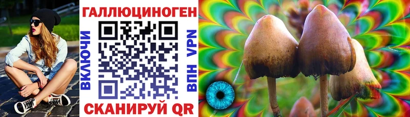 Галлюциногенные грибы Cubensis  Калязин 